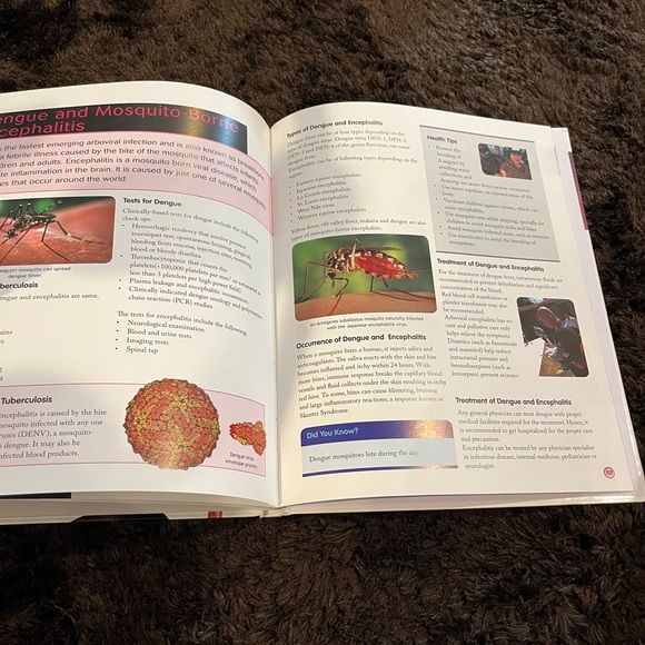 New : kids book - Human body (3 for $20) - Picture 2 of 5